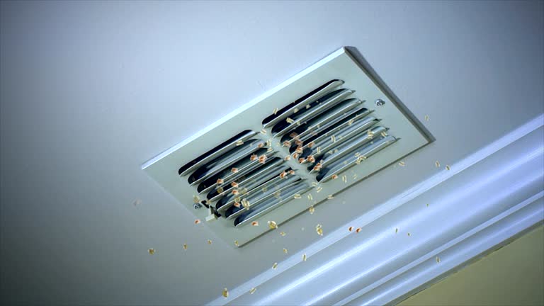 Best HVAC Duct Inspection Services  in Munsey Park, NY