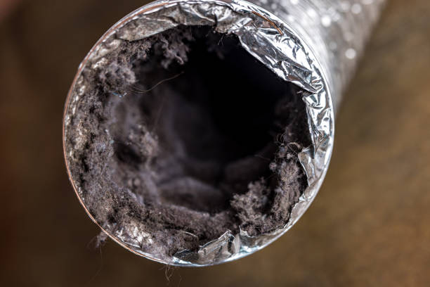 Air Duct Mold Removal in NY